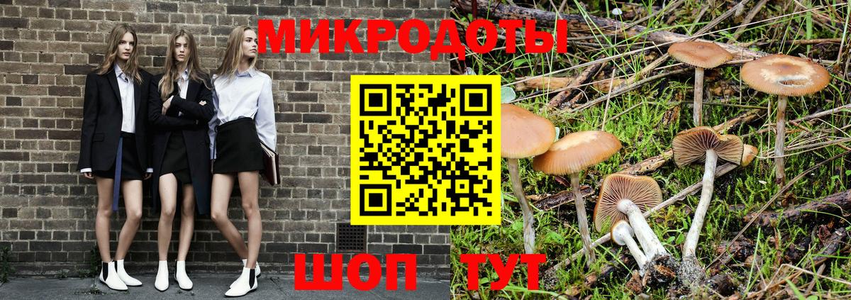 Псилоцибиновые грибы Cubensis Сланцы