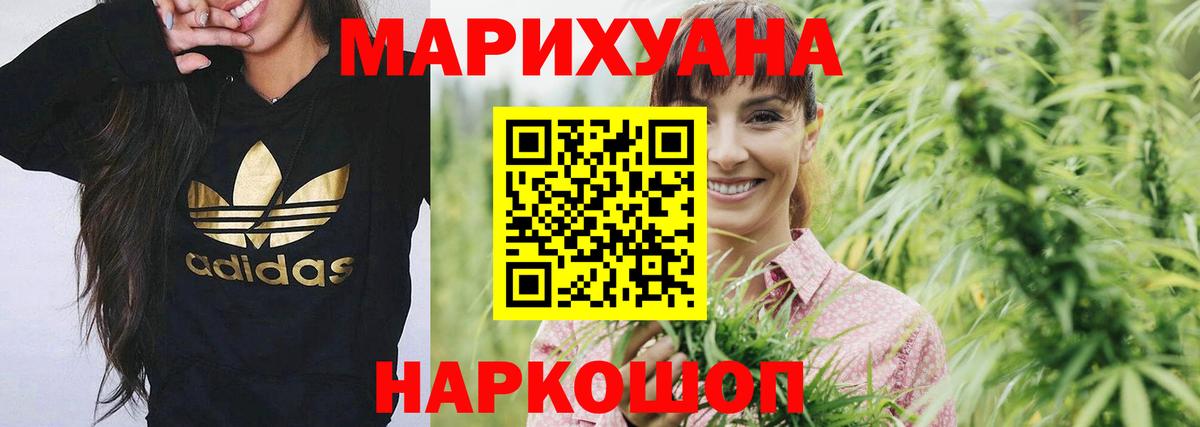 Конопля план Сланцы